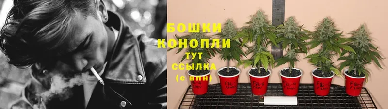 Канабис SATIVA & INDICA  Дубна 